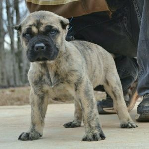 Meet your Posher, Reuben